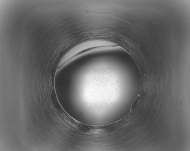 X0000079310748200611251738