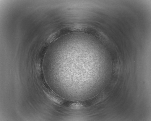 X0000079310749200611251738