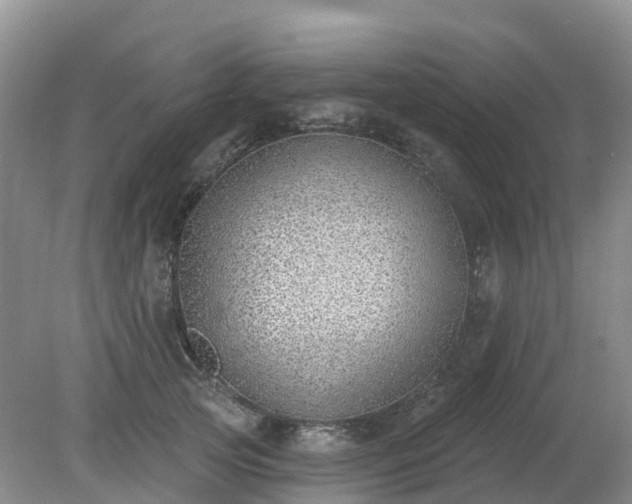 X0000079310753200611251738