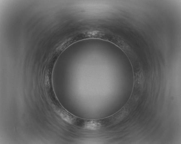 X0000079310754200611251738