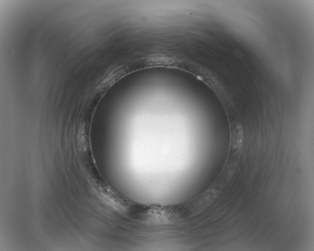 X0000079310764200611251739