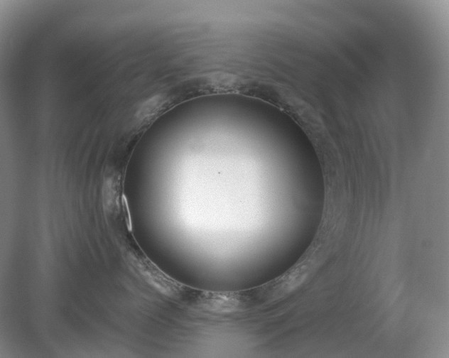 X0000079310768200611251739