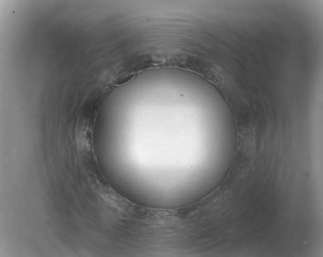 X0000079310770200611251738