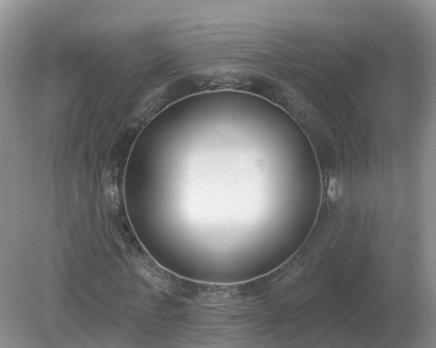 X0000079310771200611251738