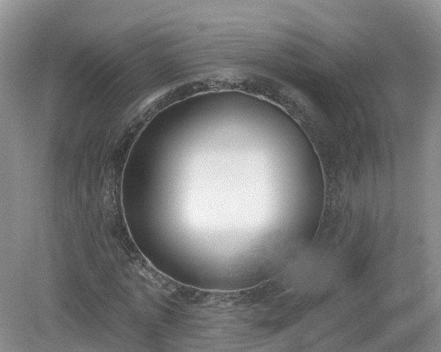 X0000079310773200611251738