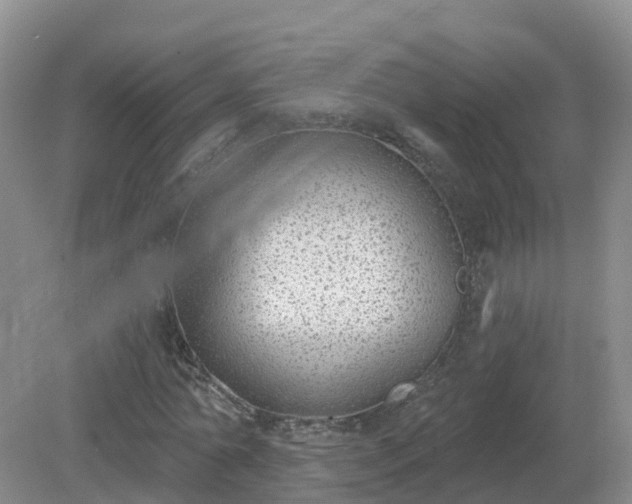 X0000079310774200611251738