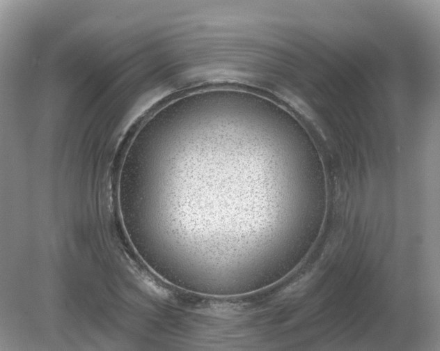 X0000079310782200611251738