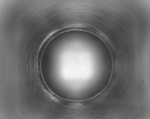 X0000079310784200611251738