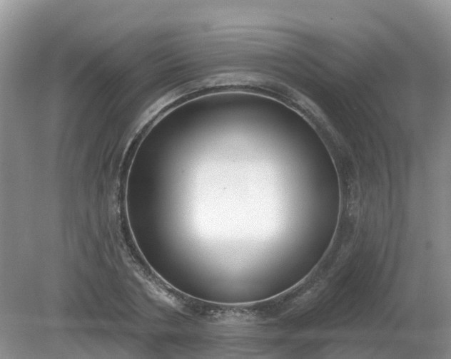 X0000079310786200611251737