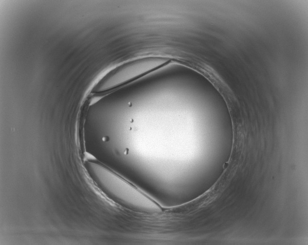 X0000079310788200611251737
