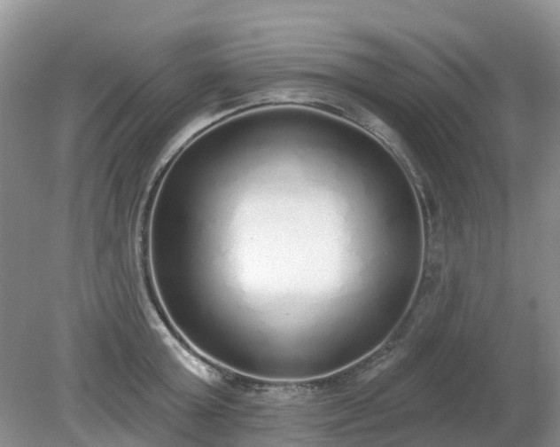 X0000079310803200611251737