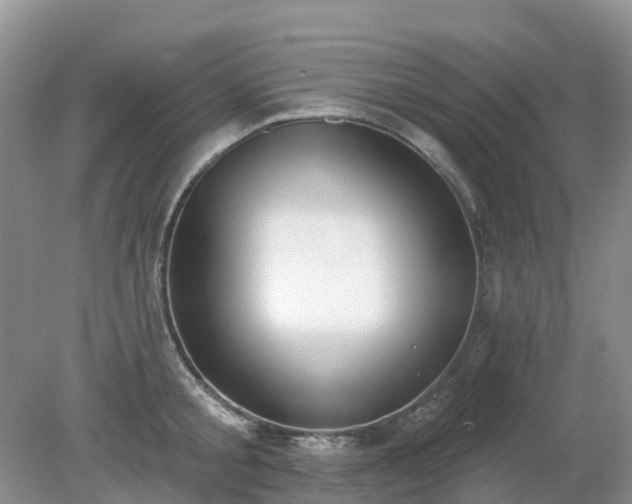 X0000079310805200611251737