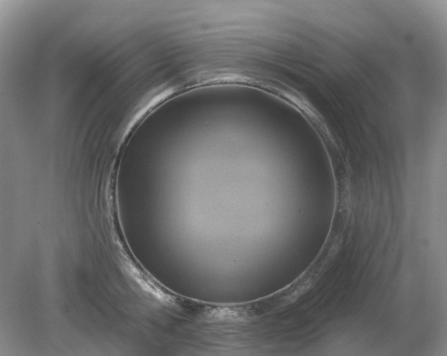 X0000079310806200611251737