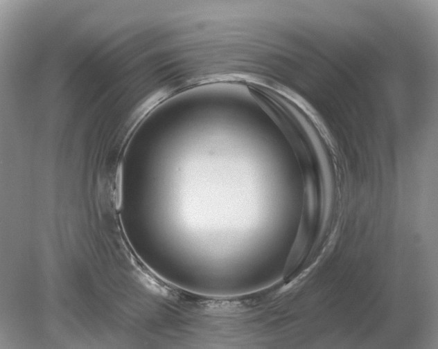X0000079310809200611251737