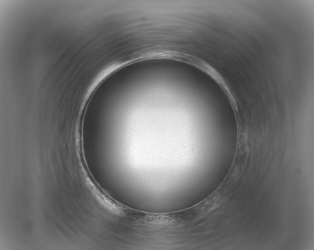 X0000079310811200611251737