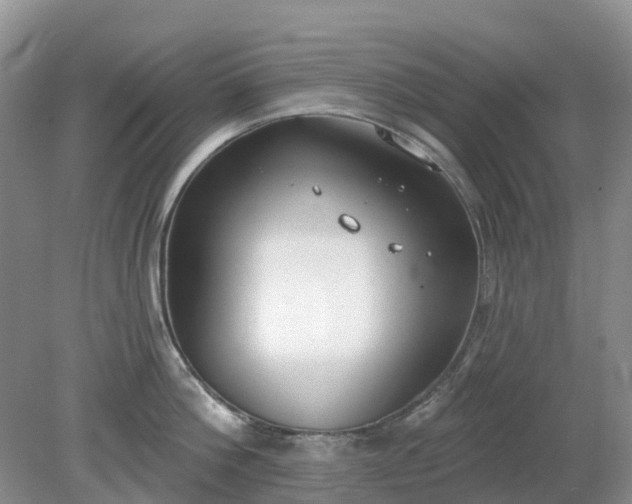 X0000079310812200611251737