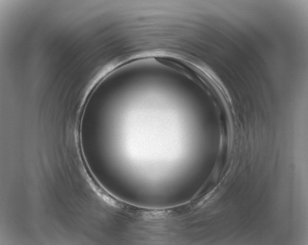 X0000079310813200611251737