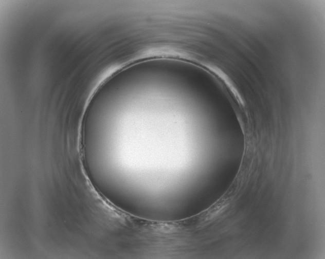 X0000079310815200611251737