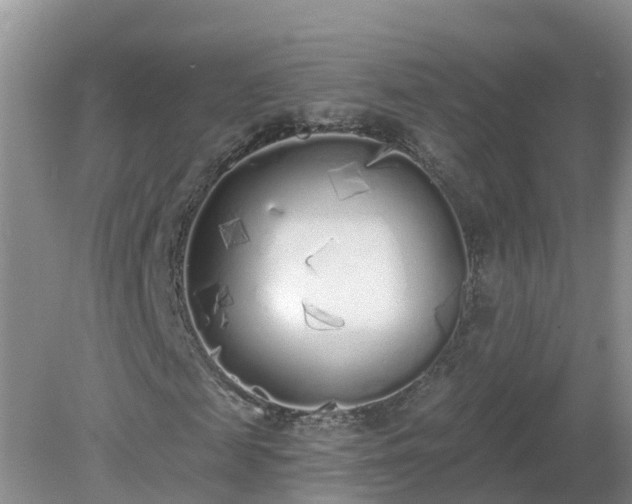 X0000079310817200611251736