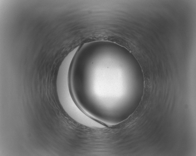 X0000079310818200611251736
