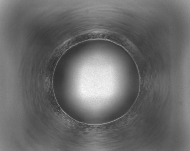 X0000079310821200611251736
