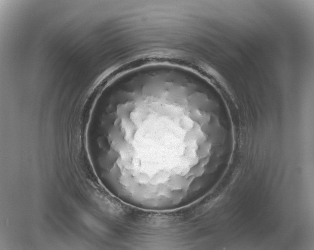 X0000079310829200611251736