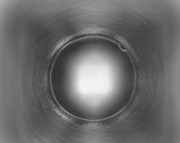 X0000079310834200611251736