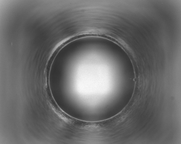 X0000079310838200611251737