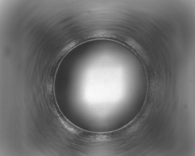 X0000079310841200611251737