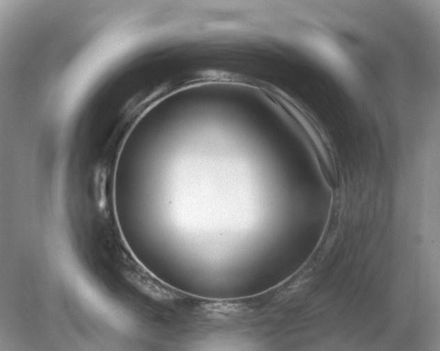 X0000079310862200611251737