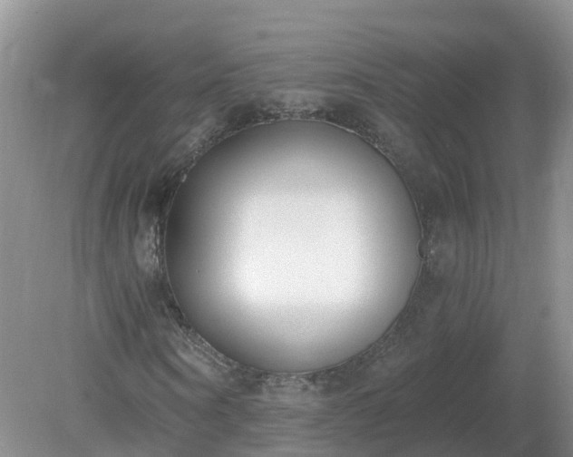 X0000079310866200611251736