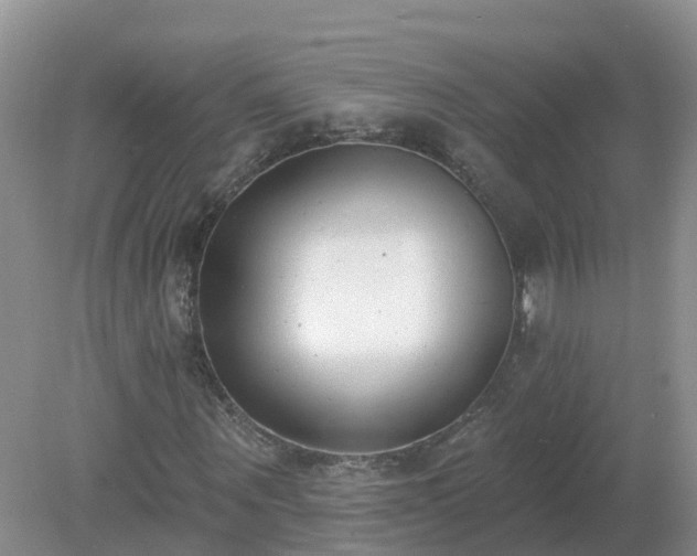 X0000079310867200611251736