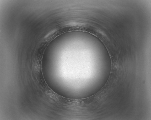 X0000079310869200611251736