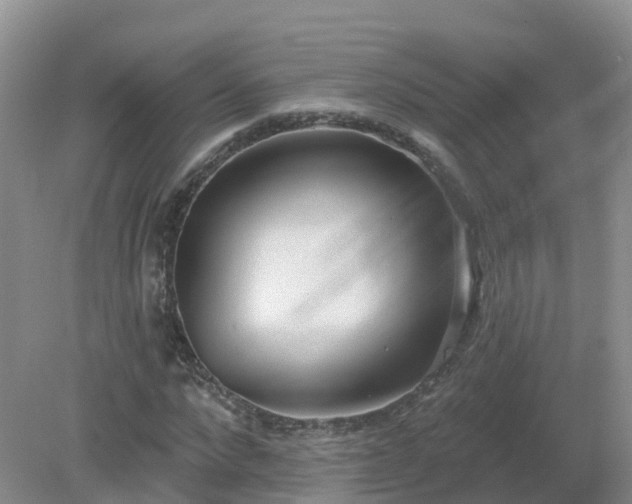 X0000079310872200611251736