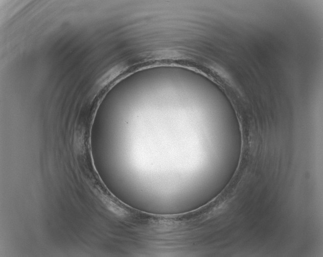 X0000079310873200611251736