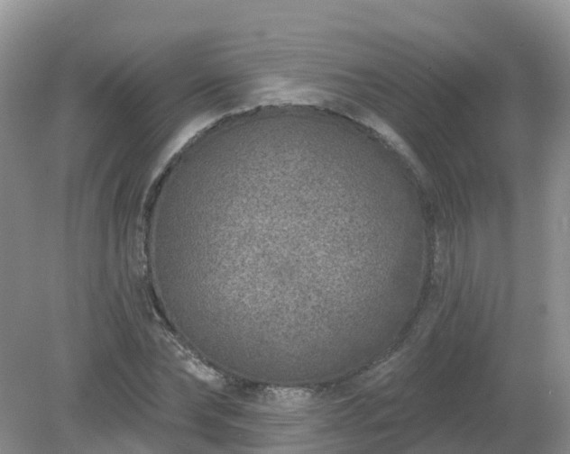 X0000079310878200611251736
