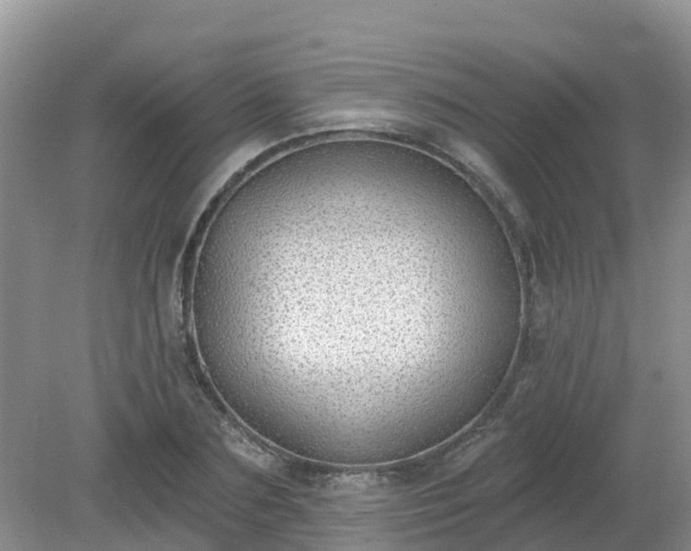 X0000079310883200611251736