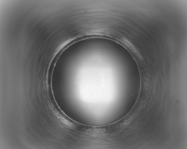 X0000079310884200611251736