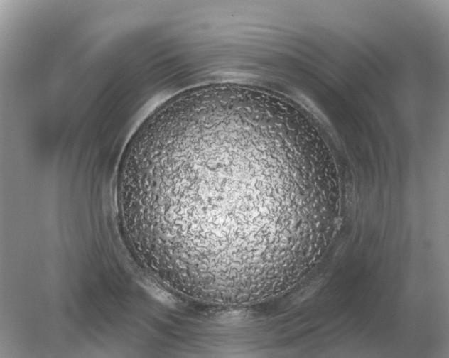 X0000079310891200611251736