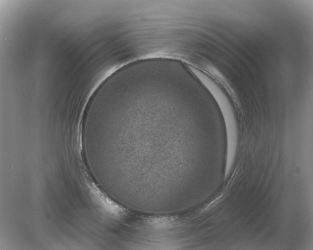 X0000079310892200611251736