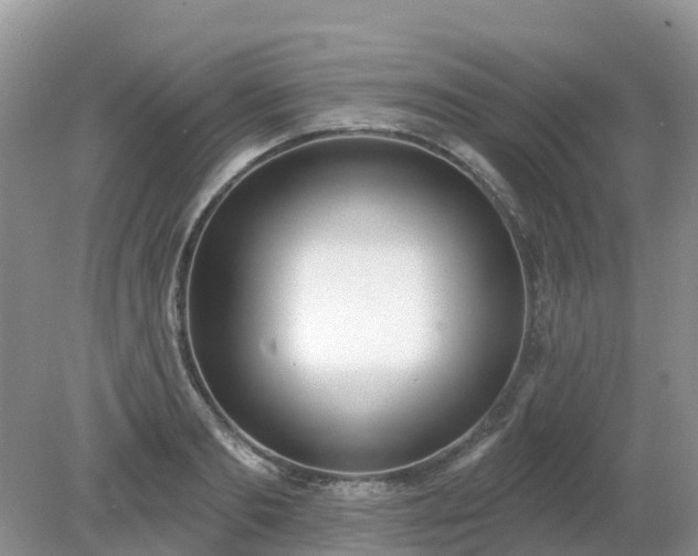 X0000079310893200611251736