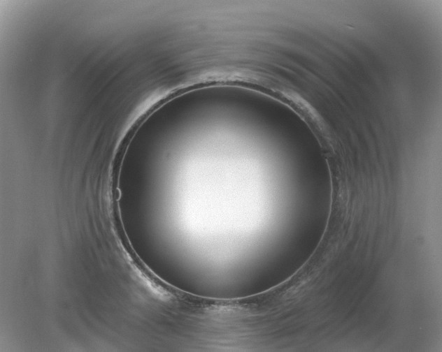 X0000079310894200611251736