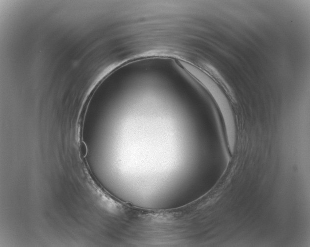 X0000079310900200611251736