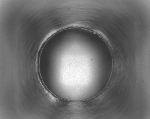 X0000079310902200611251736