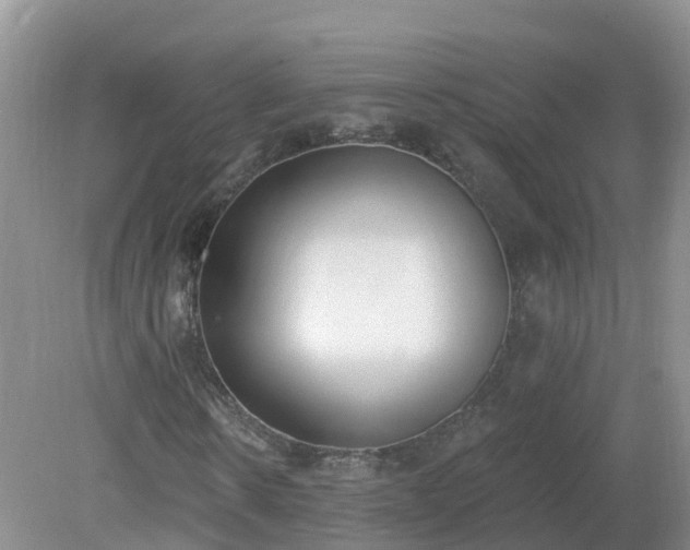 X0000079310914200611251735
