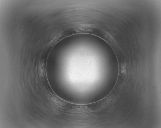 X0000079310915200611251735