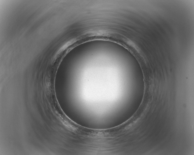 X0000079310922200611251735