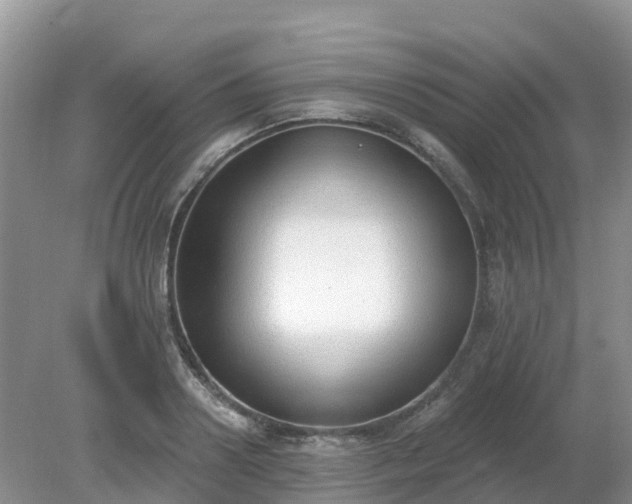 X0000079310938200611251735