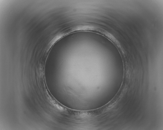 X0000079310945200611251735