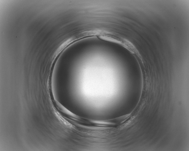 X0000079310946200611251735